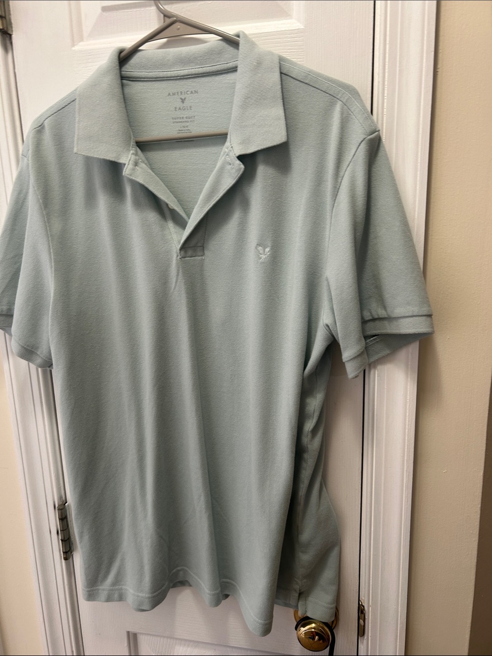 American Eagle Outfitters Men’s Sage Green Polo Shirt
